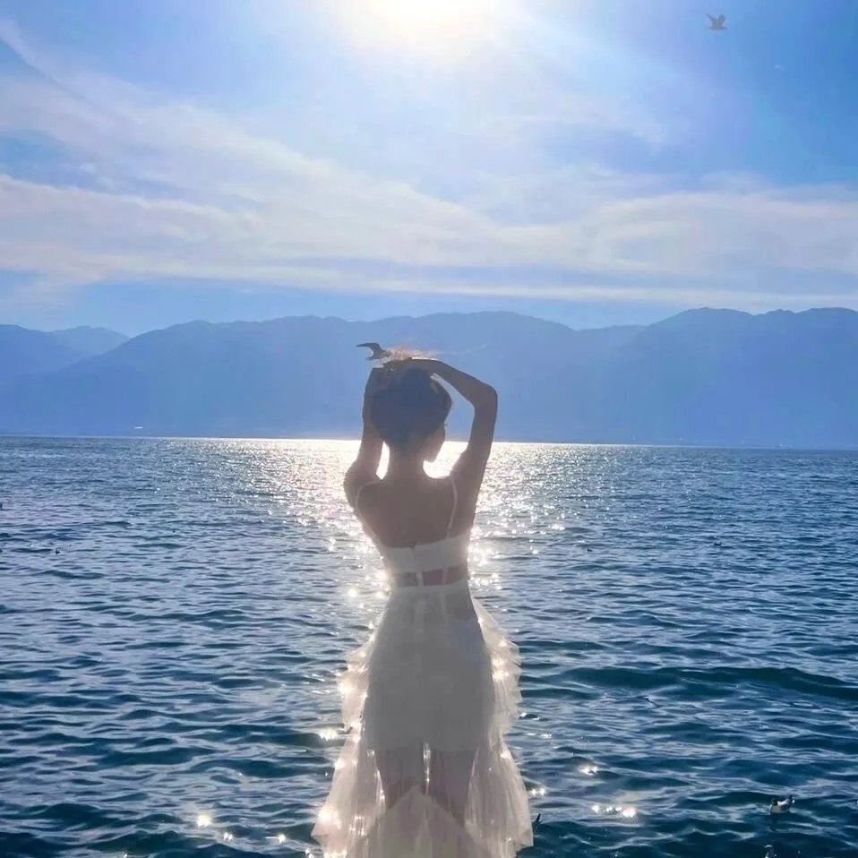 风暴之乡的苔丝